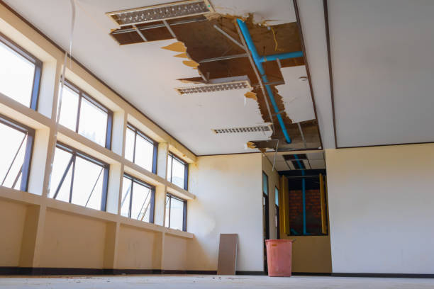 Best Mold removal after water damage  in Aviston, IL