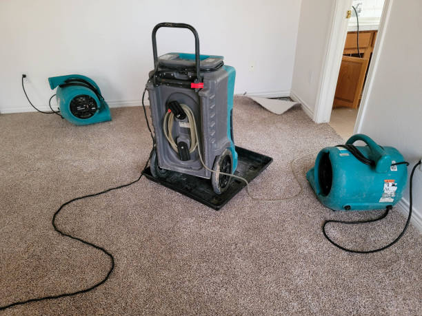 24/7 water damage repair in Aviston, IL