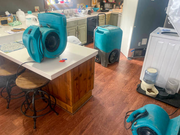 Best Water damage restoration near me  in Aviston, IL
