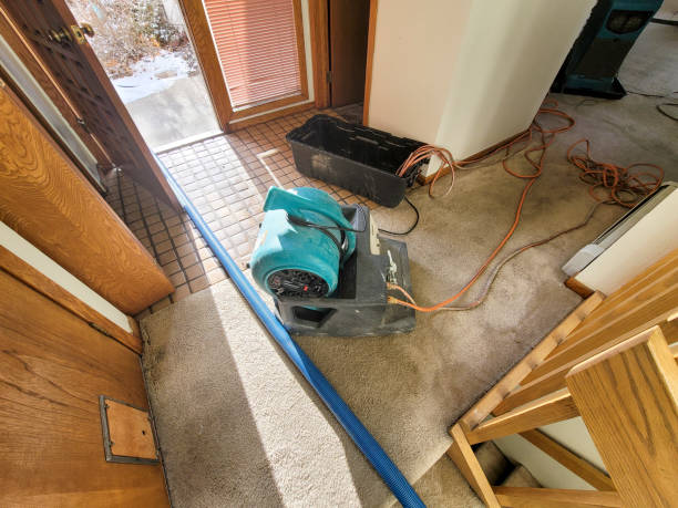 Best Fire Damage Restoration  in Aviston, IL
