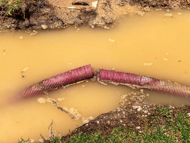 Best Commercial water damage restoration  in Aviston, IL